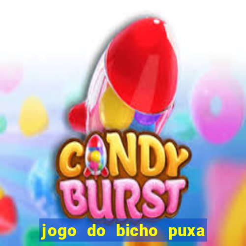 jogo do bicho puxa de dona maria